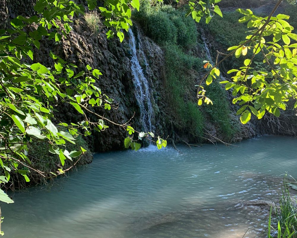 Şelalesi olan bahçe