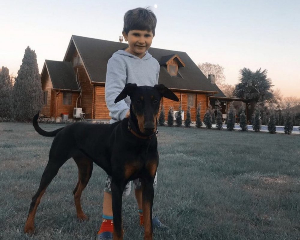 Dişi doberman
