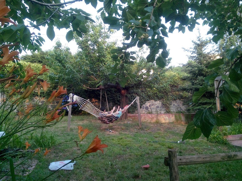 Beykoz'da 500 m2 yeşillkler içerisinde  tek oda kır evi